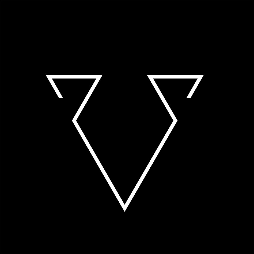 Vacuum Logo Favicon